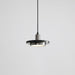 Double Circle Pendant Light-DWHOME