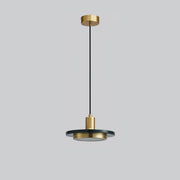 Double Circle Pendant Light-DWHOME