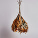 Dried Branch Leaf Pendant Lamp.