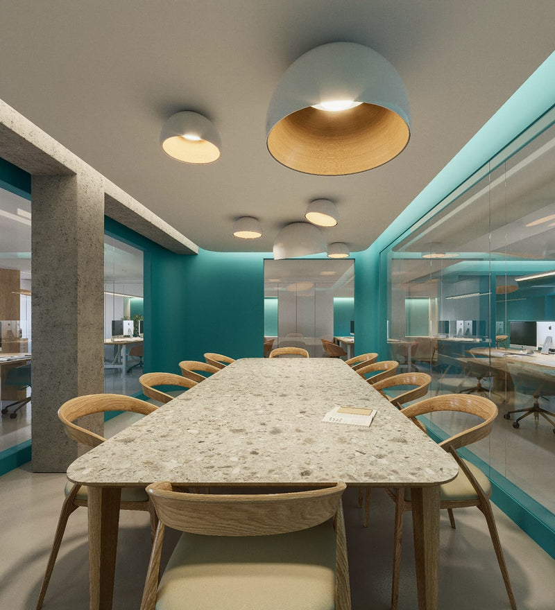 Duo Ceiling Lamp-DWHOME