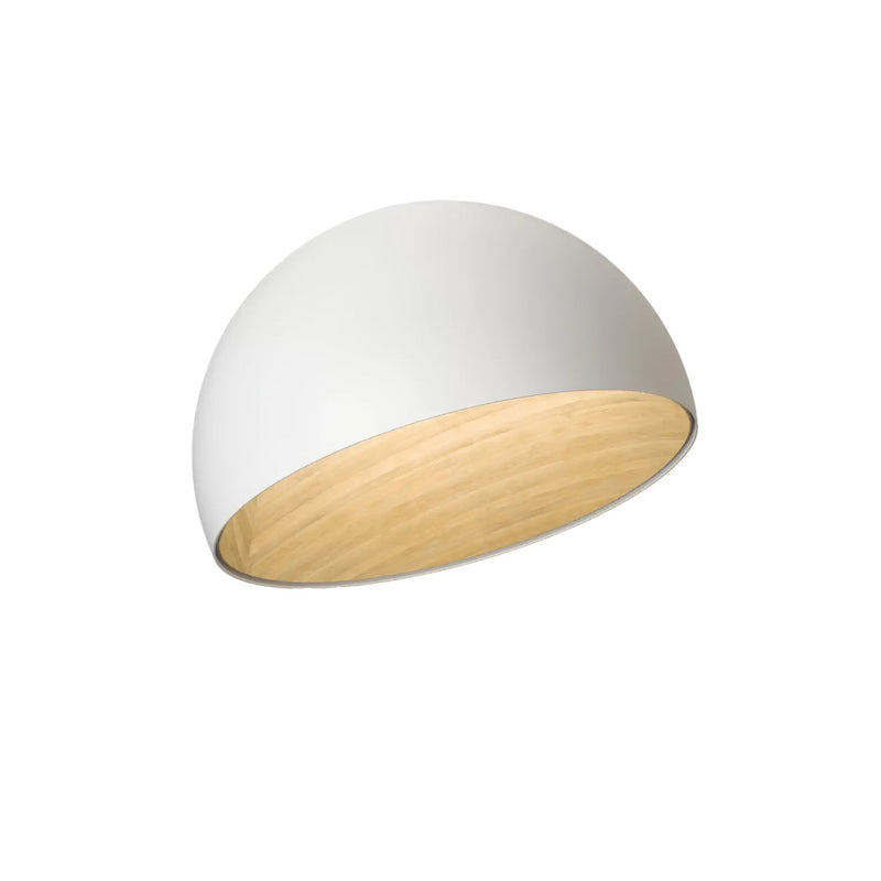 Duo Ceiling Lamp-DWHOME