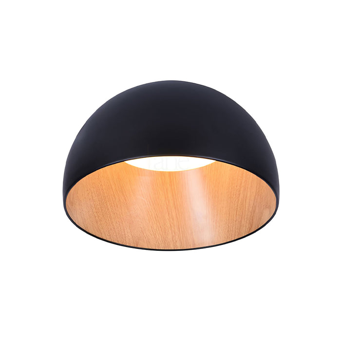 Duo Ceiling Lamp-DWHOME
