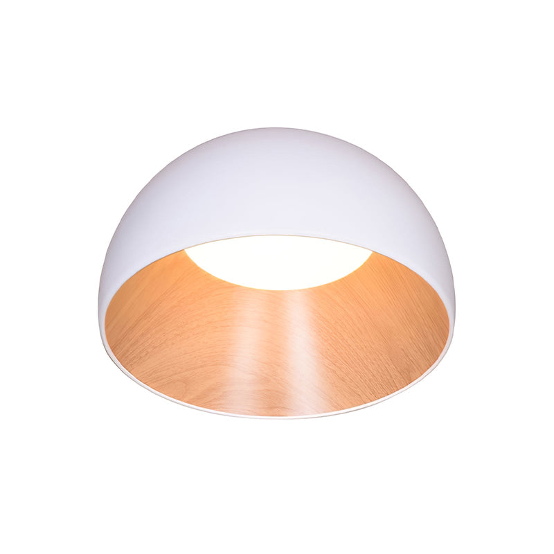 Duo Ceiling Lamp-DWHOME