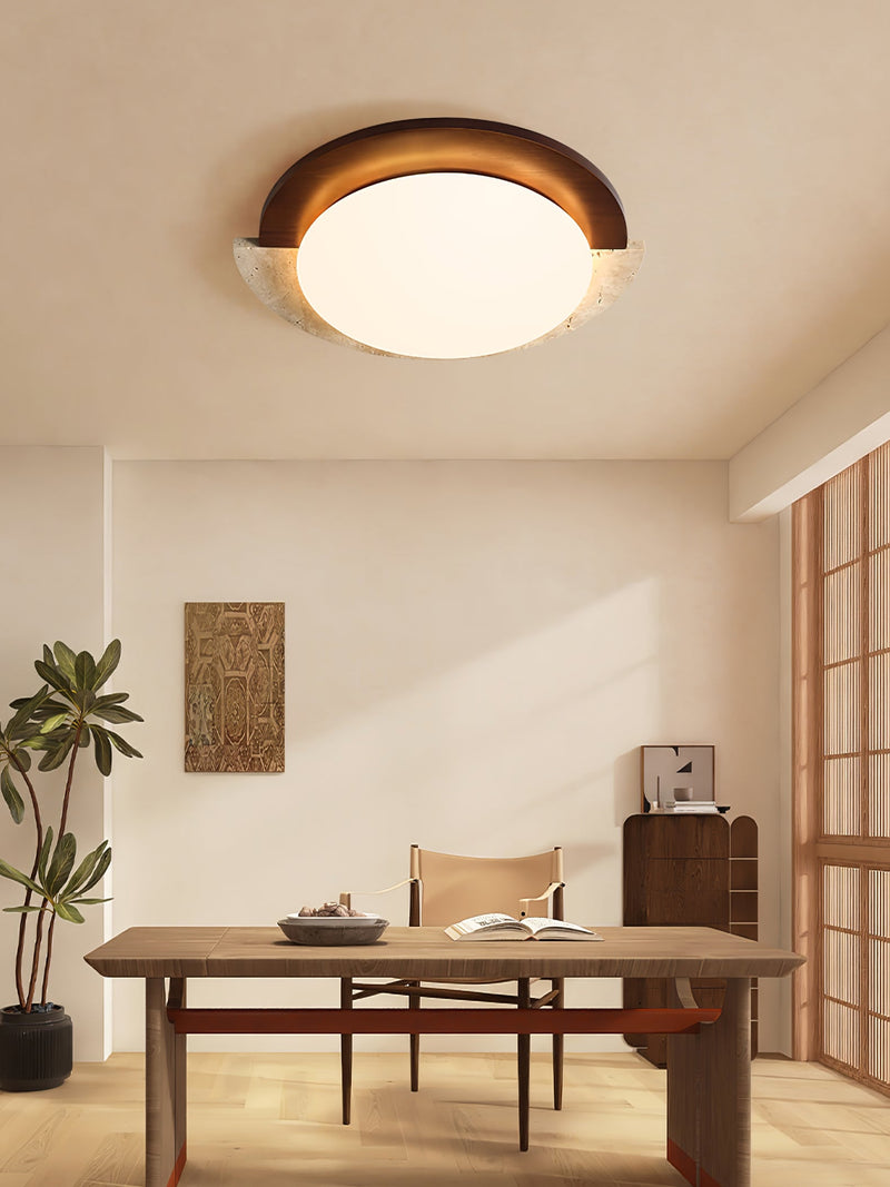 Eclipse Halo Ceiling Lamp-DWHOME