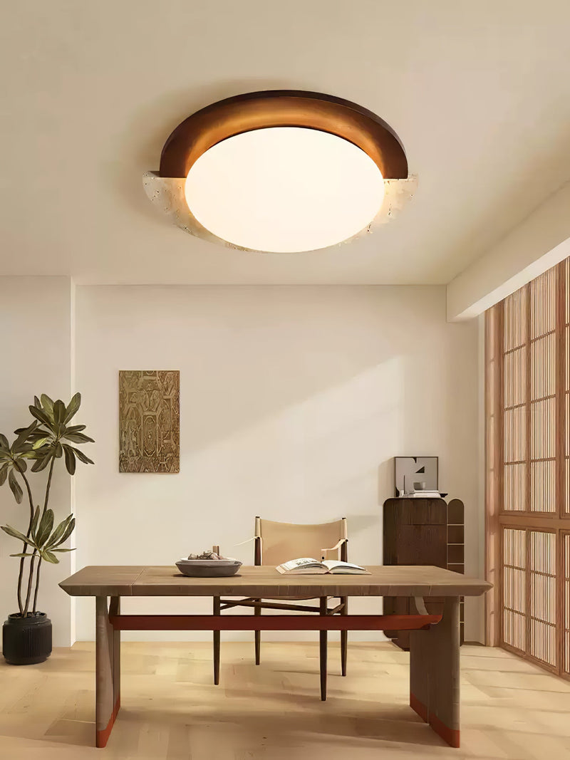 Eclipse Halo Ceiling Lamp-DWHOME