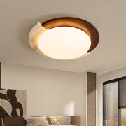 Eclipse Halo Ceiling Lamp-DWHOME