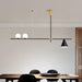 Eclipse Linear Suspension Light.