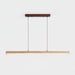 Ecliptic Beam Pendant Lamp-DWHOME