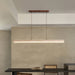 Ecliptic Beam Pendant Lamp-DWHOME