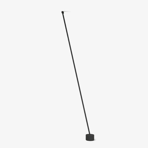 Elastica Arbitrary Floor Lamp.