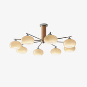 Elliptical Persimmon Chandelier-DWHOME