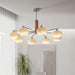 Elliptical Persimmon Chandelier.