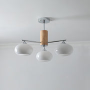 Elliptical Persimmon Chandelier-DWHOME