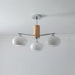 Elliptical Persimmon Chandelier.