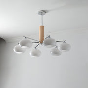 Elliptical Persimmon Chandelier-DWHOME