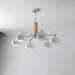 Elliptical Persimmon Chandelier - DWHOME