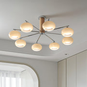 Elliptical Persimmon Chandelier-DWHOME