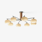 Elliptical Persimmon Chandelier-DWHOME