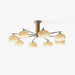 Elliptical Persimmon Chandelier - DWHOME