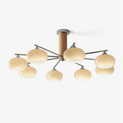 Elliptical Persimmon Chandelier-DWHOME