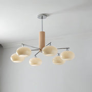 Elliptical Persimmon Chandelier-DWHOME