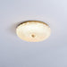 Enchanting Ceiling Light-DWHOME