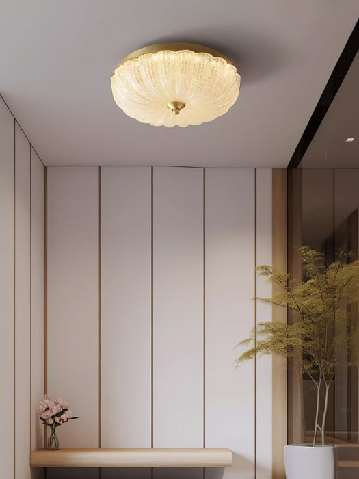 Enchanting Ceiling Light.