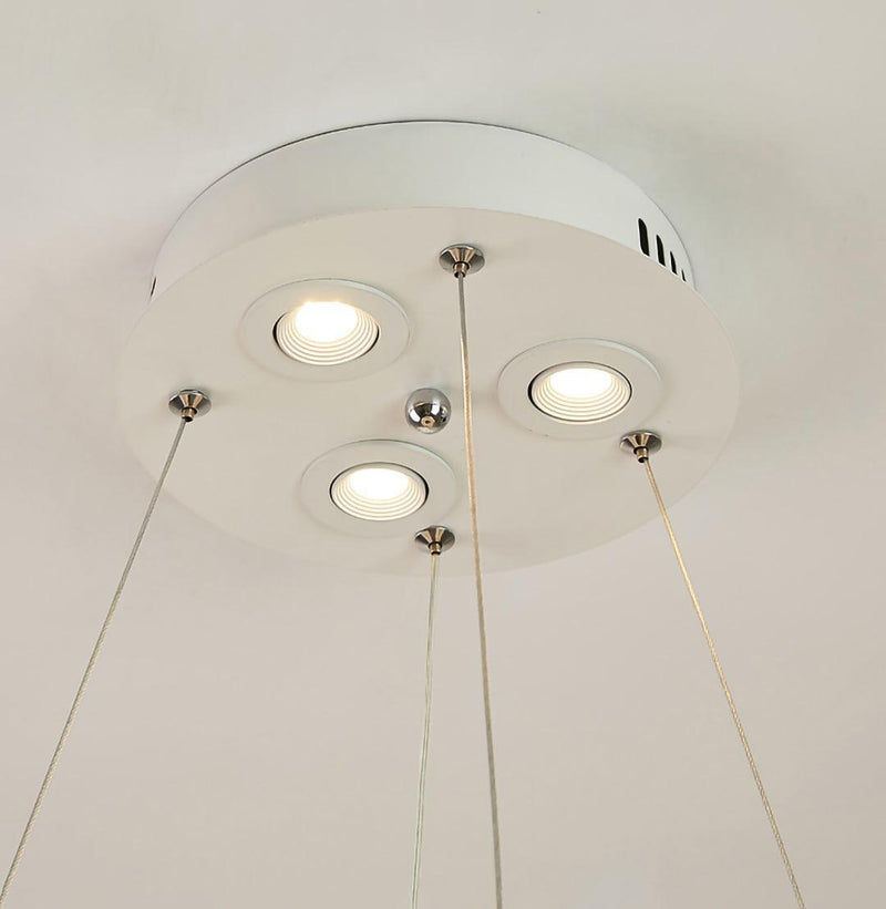 Goose Feathers Pendant Lamp-DWHOME