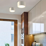Ethan Surface Ceiling Light-DWHOME