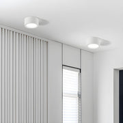 Ethan Surface Ceiling Light-DWHOME