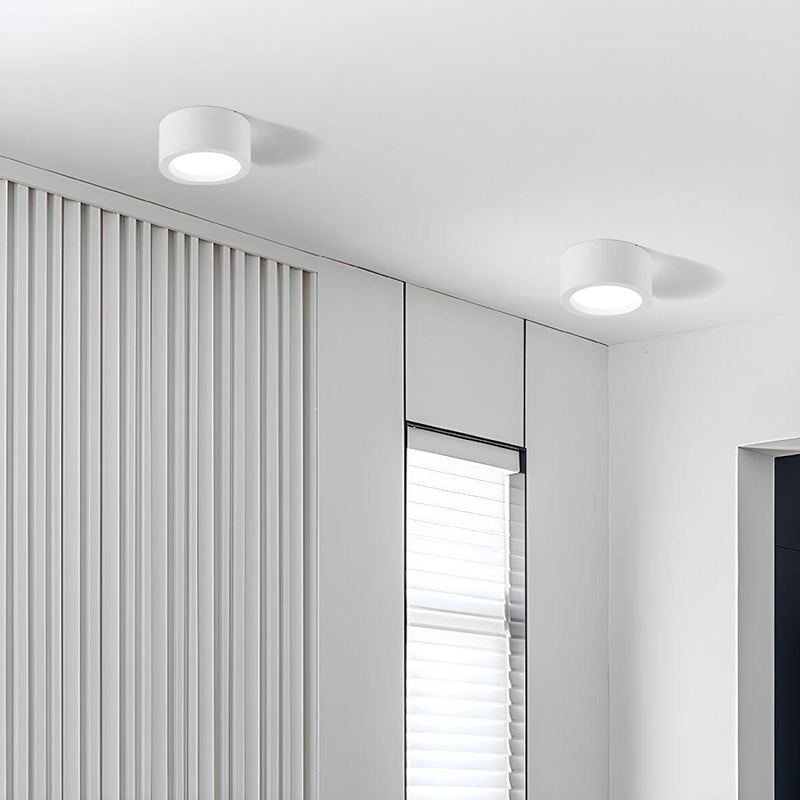 Ethan Surface Ceiling Light-DWHOME