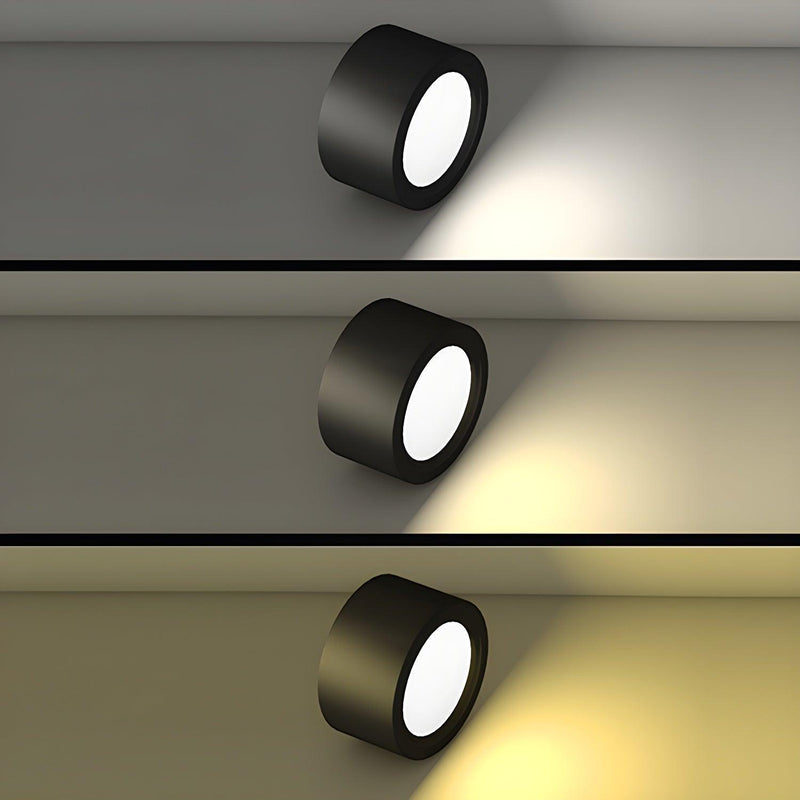 Ethan Surface Ceiling Light-DWHOME