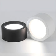 Ethan Surface Ceiling Light-DWHOME