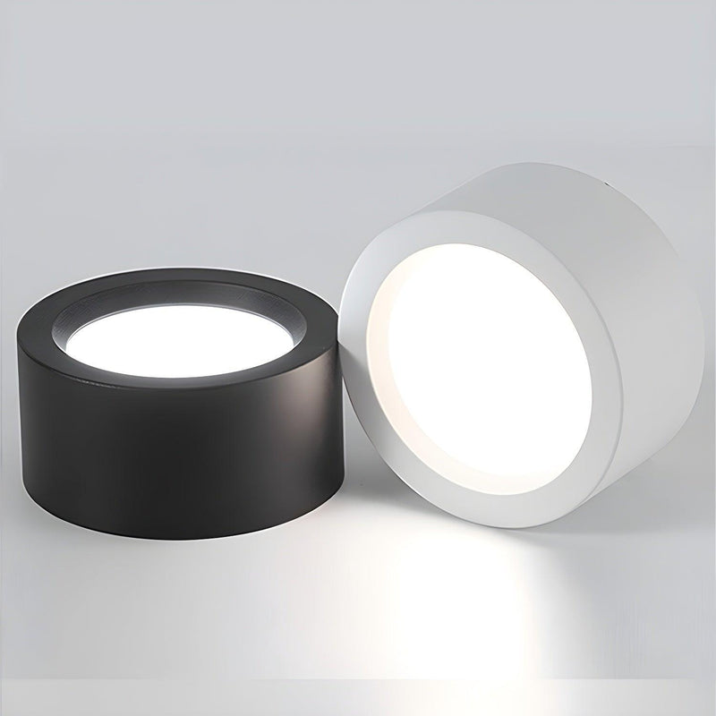 Ethan Surface Ceiling Light-DWHOME
