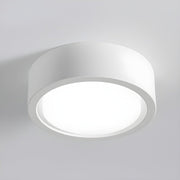 Ethan Surface Ceiling Light-DWHOME