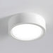 Ethan Surface Ceiling Light - DWHOME