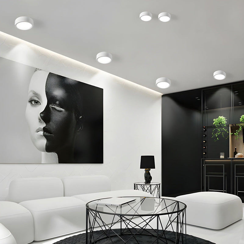 Ethan Surface Ceiling Light-DWHOME