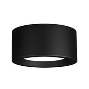 Ethan Surface Ceiling Light-DWHOME