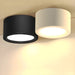 Ethan Surface Ceiling Light - DWHOME