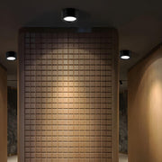 Ethan Surface Ceiling Light-DWHOME