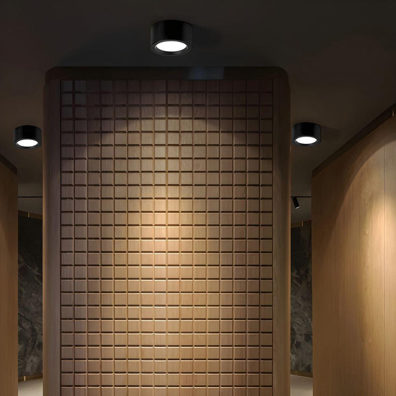 Ethan Surface Ceiling Light-DWHOME