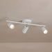 Evanna Ceiling Light - DWHOME