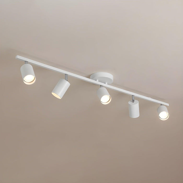 Evanna Ceiling Light - DWHOME