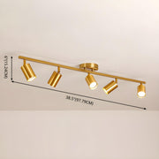 Evanna Ceiling Light-DWHOME