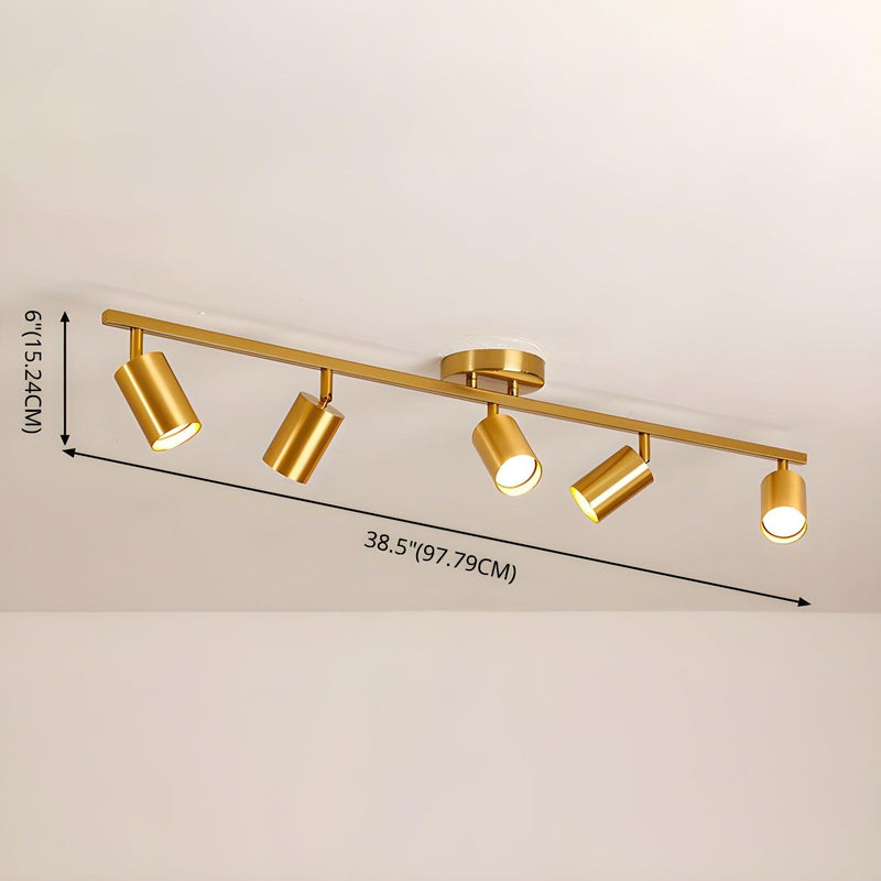 Evanna Ceiling Light-DWHOME