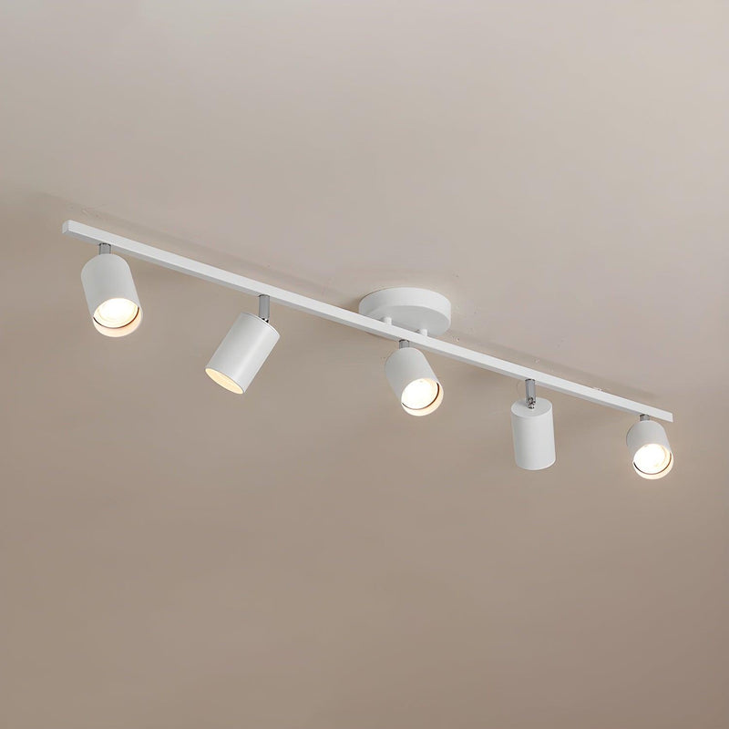 Evanna Ceiling Light-DWHOME
