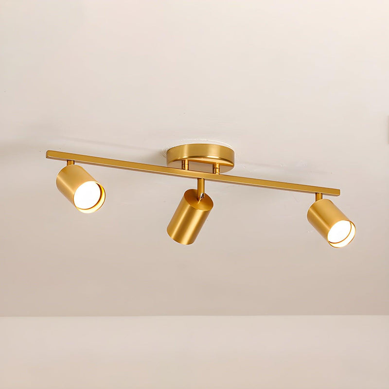 Evanna Ceiling Light-DWHOME