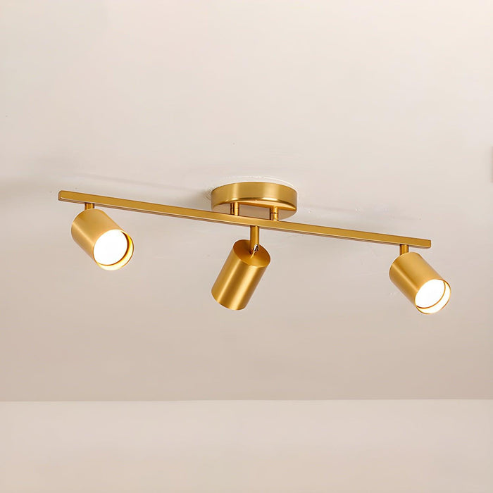 Evanna Ceiling Light - DWHOME