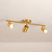 Evanna Ceiling Light - DWHOME