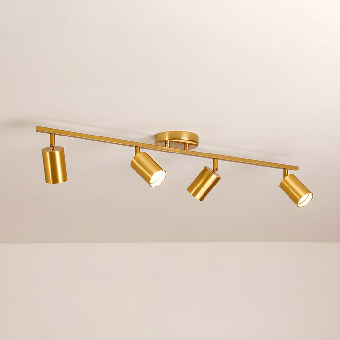 Evanna Ceiling Light - DWHOME